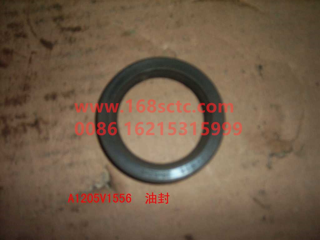WGA1205V1556