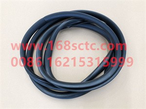 81.96121.0056-SHACMAN-Weather strip (windshield weather strip)-DeLongF2000 2014Kuan