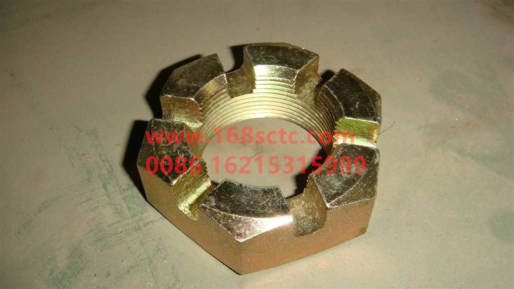 WG9925410105+003-OTHERS-Channel nut 3001M 161-KeManQianQiao