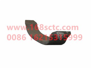 wg9925521202004