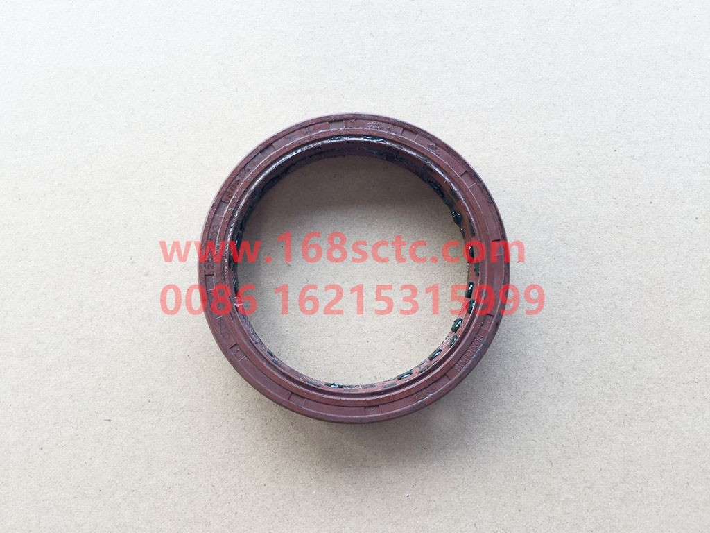 DZ90129326037-OTHERS-oil seal-HanDeSTRHouQiao