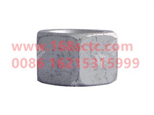 ZQ361B16T13F6-OTHERS-Hex nut type 2 M16x1.5-LiuJiaoTouLuoMu