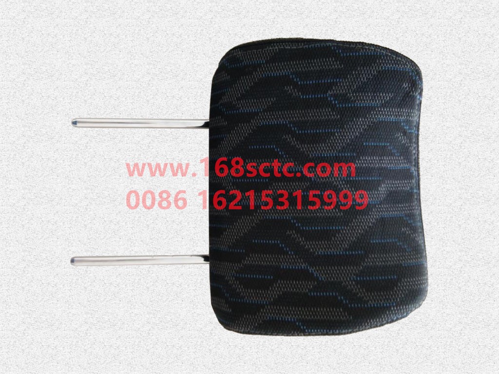 SQDZ6804000-SHACMAN-Hydraulic seat headrest assembly-AoLong2007Kuan