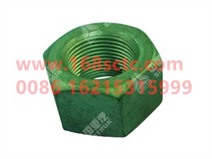 ZQ361B24T13F6-OTHERS-Hex Nut Type 2 M24x2-LiuJiaoTouLuoMu