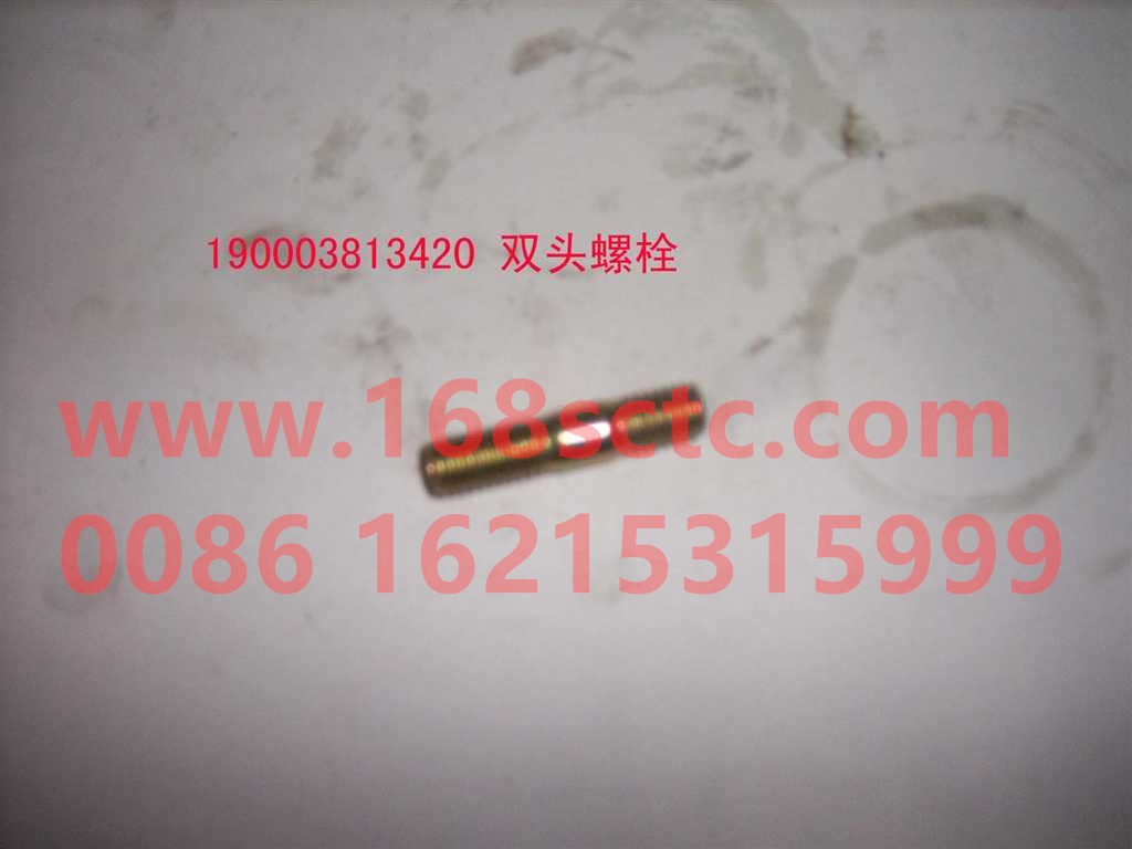 190003813429