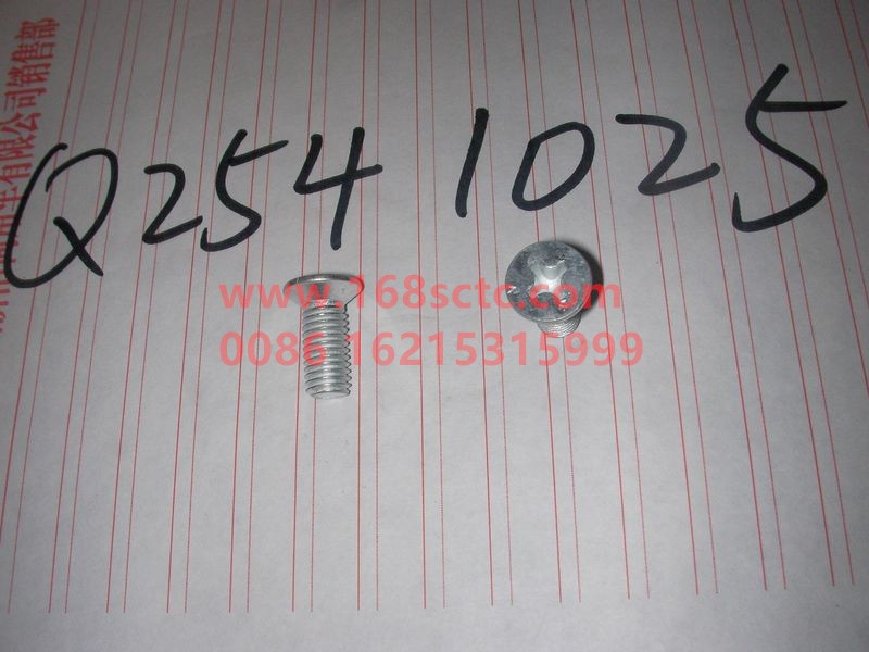 Q2541025-SINOTRUK HOWO-Phillips countersunk head screw M10x25-ZhongQiQianQiaoHF7