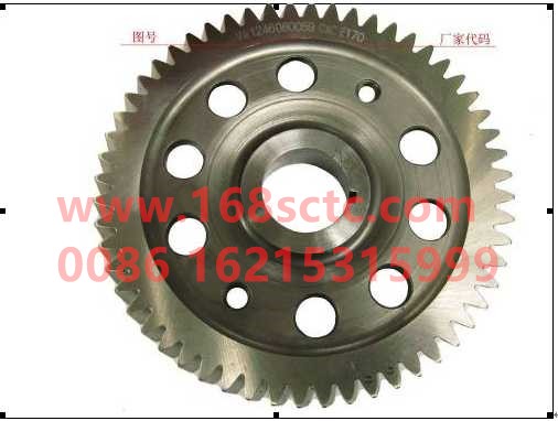 VG1246080029-SINOTRUK HOWO-Oil pump drive gear-ZhongQiFaDongJiT12.42-50