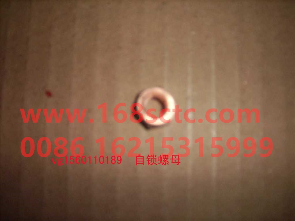 VG1560110189
