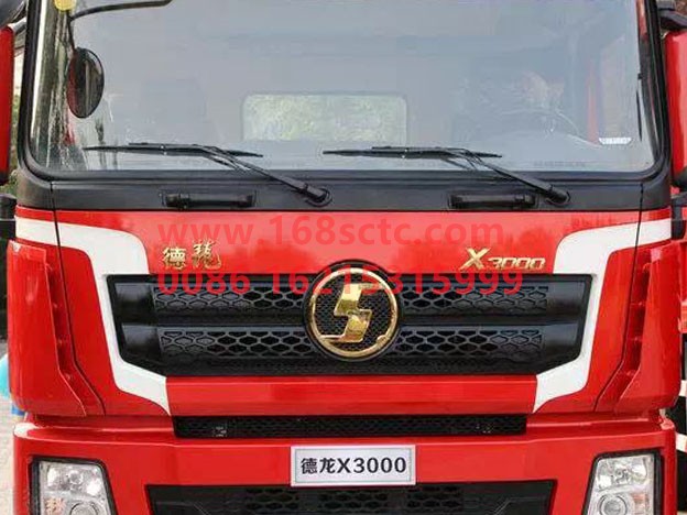 DZ14251950079-SHACMAN- "De Long" sign gold-DeLongX3000 2013Kuan