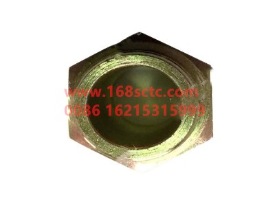 020v98131-0071-0