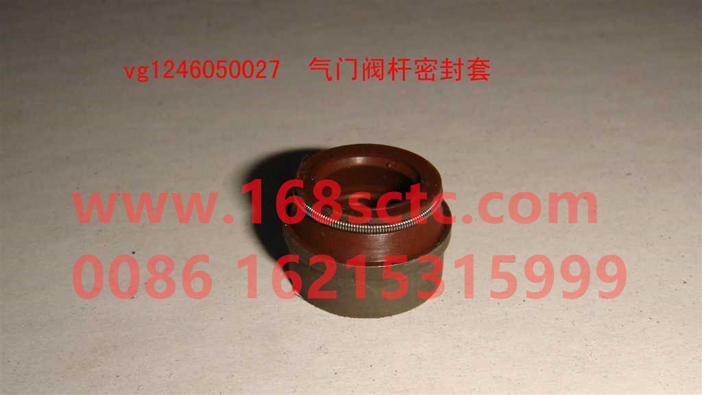 VG1246050027-SINOTRUK HOWO-Oil seal (valve oil seal)-ZhongQiFaDongJiD1242C01-1