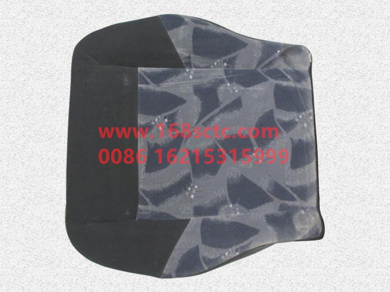 SQDZ6801000-SHACMAN-Airbag cushion assembly-AoLong2007Kuan