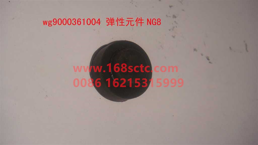 WG9000361004-SINOTRUK HOWO-Elastic element NG8-ZhongQiBianSuXiangHW15710A