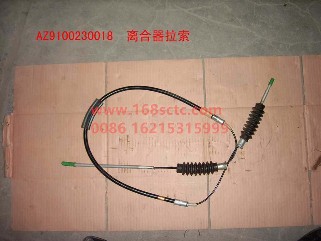 WG9100230018