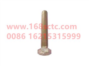 ZQ150B1065Q-OTHERS-Outer hex bolt full wire M10x65-LiuJiaoTouLuoShuan