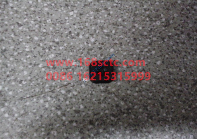 AZ1664930001-SINOTRUK HOWO-Plastic Nut Holder-HaoWoT7HKuan