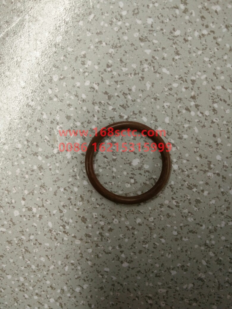 06.56341.4254 (66)