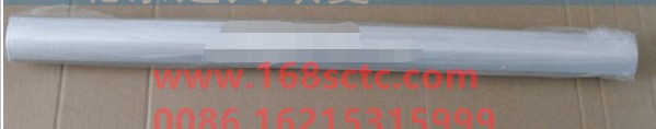 1B24953504035-OTHERS-Passenger side trim strip assembly-FuTianOuManCTX6XiShenZhou