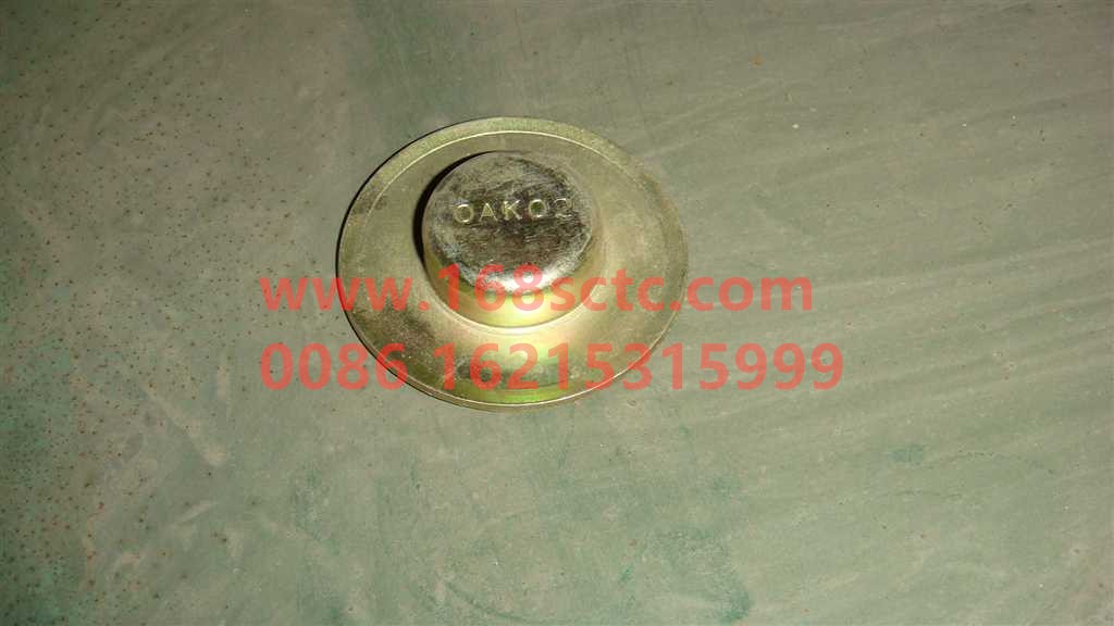 AZ9100443018-SINOTRUK HOWO-brake slide pin cover-HaoWo2010Kuan