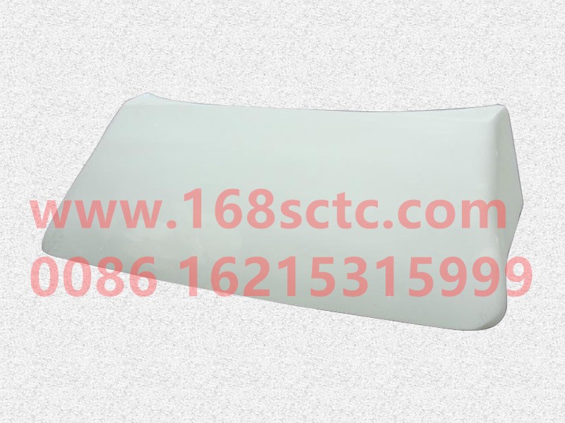 81.62900.6145-SHACMAN-Shroud-DeLongF3000 2010Kuan