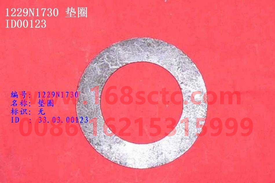 WG1229N1730