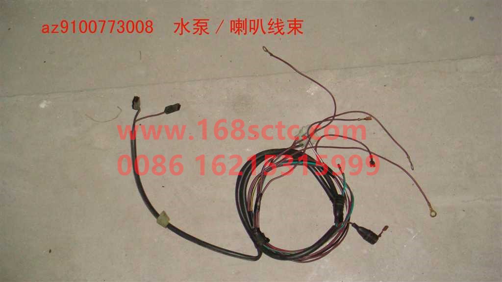 Water pump/speaker wiring harness