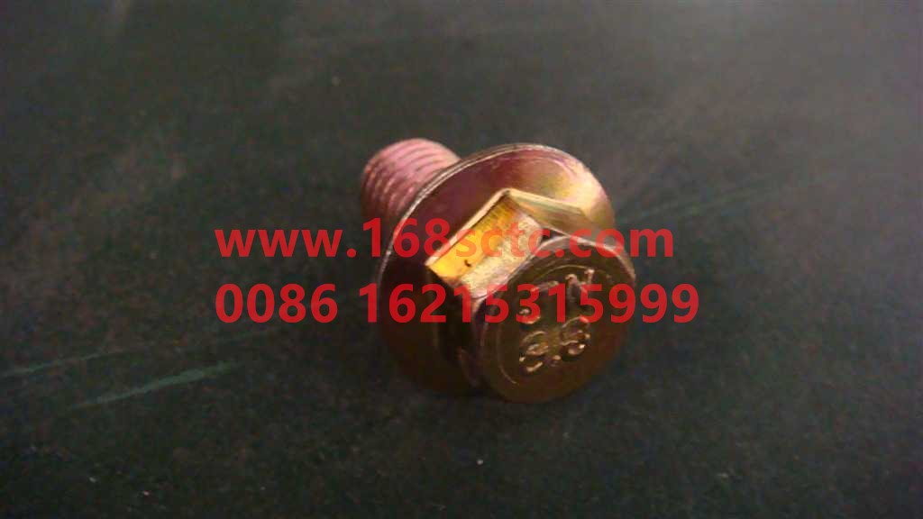 WG9981340066