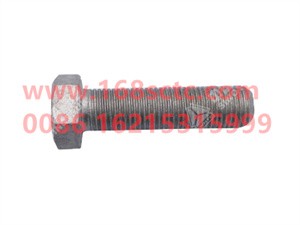 ZQ151B1245TF6-OTHERS-Outer hex bolt M12x1.25x45-LiuJiaoTouLuoShuan