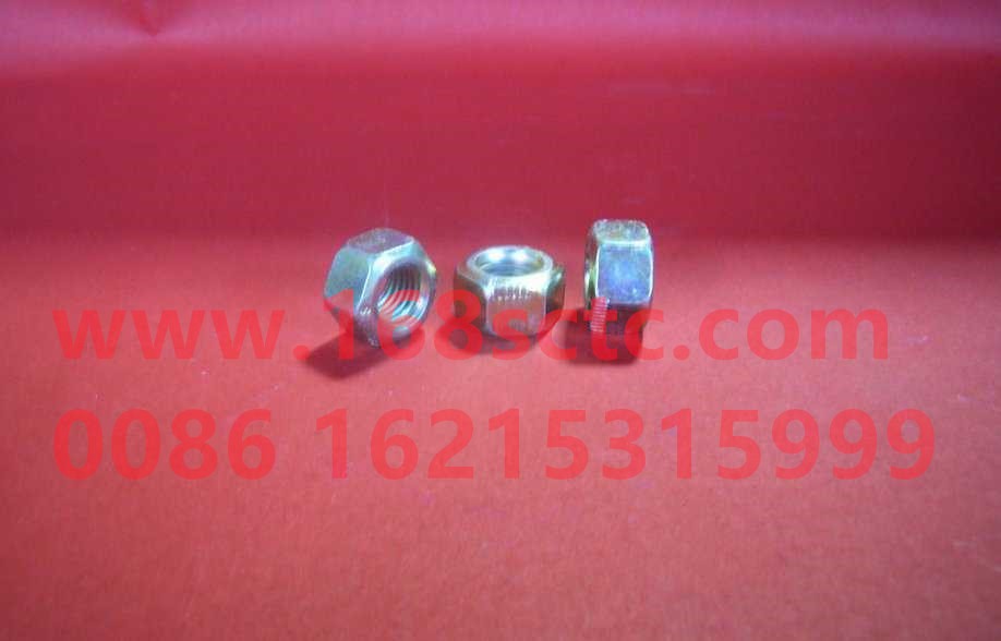 Self-locking nut VM14*1.5D009808ZN