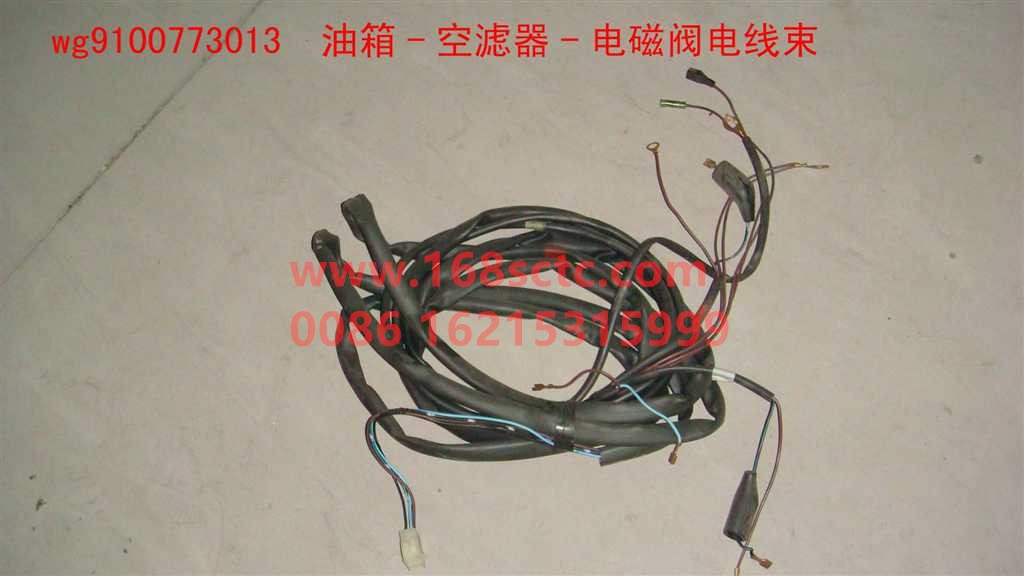 WG9100773013