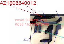 AZ1608840012-OTHERS-Trachea (left ventilation pipe II)-XinHuangHe2011Kuan