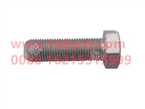 ZQ151B1240TF6-OTHERS-Hex bolts M12x1.25x40-LiuJiaoTouLuoShuan