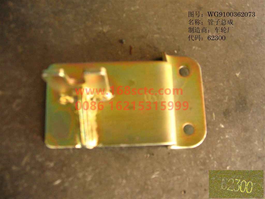WG9100362073