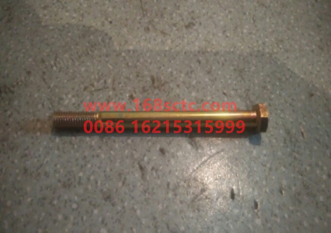 Q150B08110-SHACMAN-Hex bolts M8x110-DeLongF2000 2015Kuan