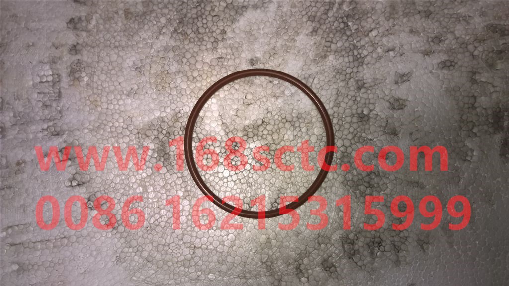 WG2229100040-SINOTRUK HOWO- O-ring range gear piston-HaoWo2013Kuan