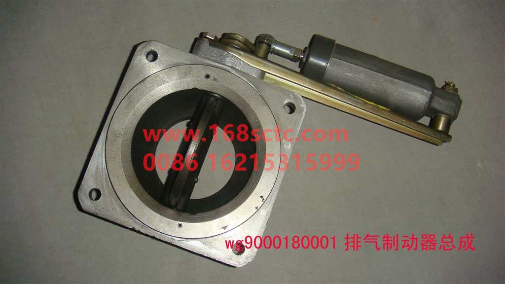 WG9000180001