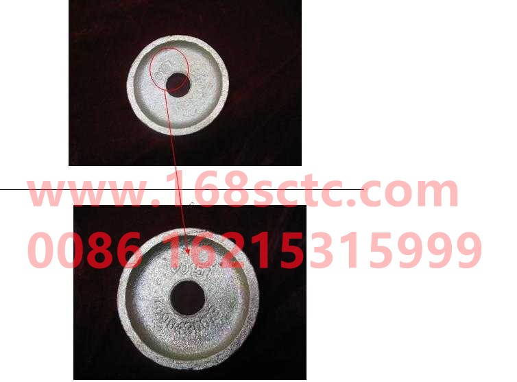 116100430019R-HONGYAN-front support ring-HongYan