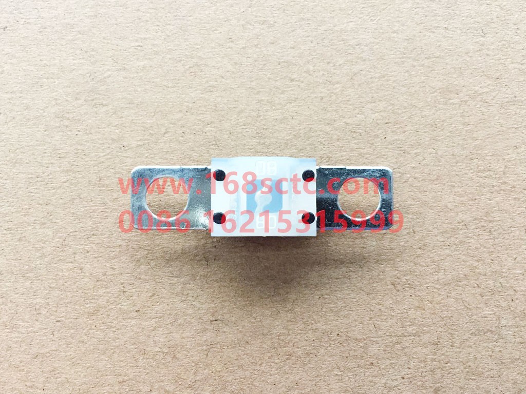 DZ93189712134-SHACMAN-Fuse 80A-DeLongF2000 2015Kuan