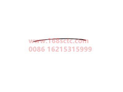 wg9725520289004