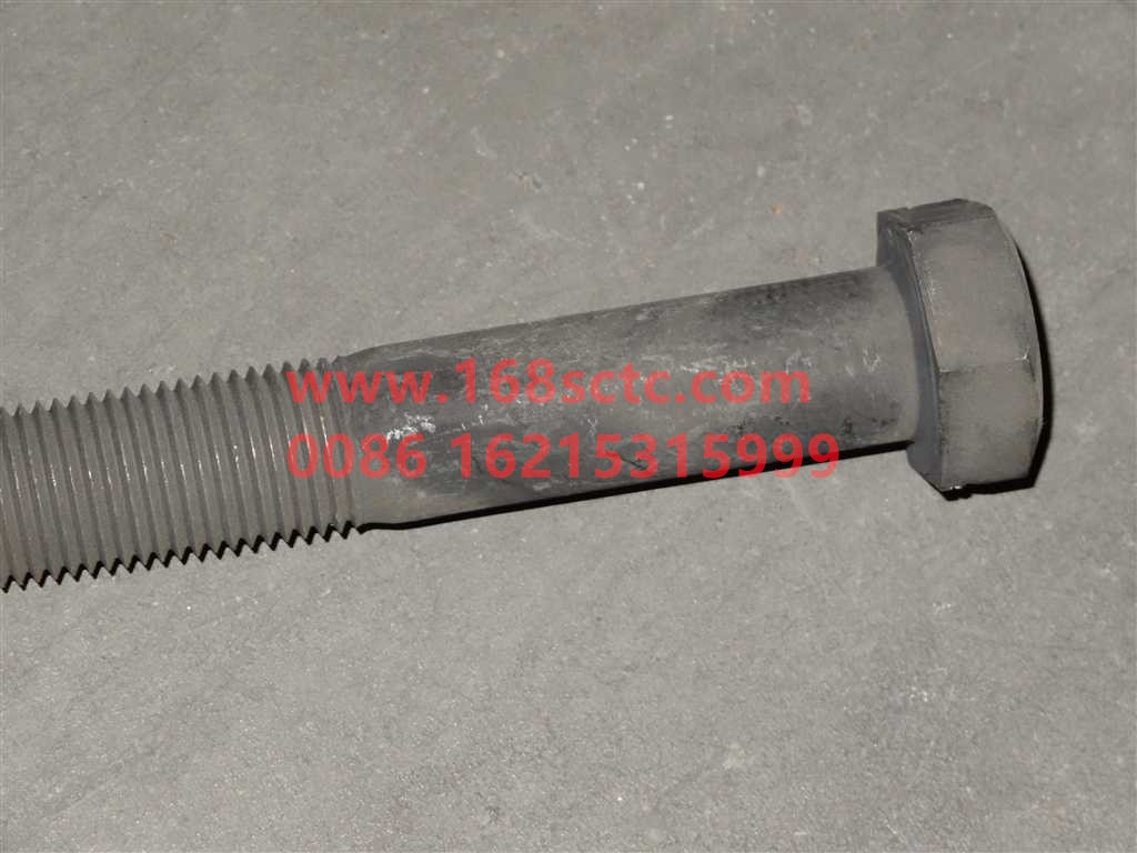 Q151C20110TF2-OTHERS-Outer hex bolt M20x2x110-HanDeHouQiaoSTR