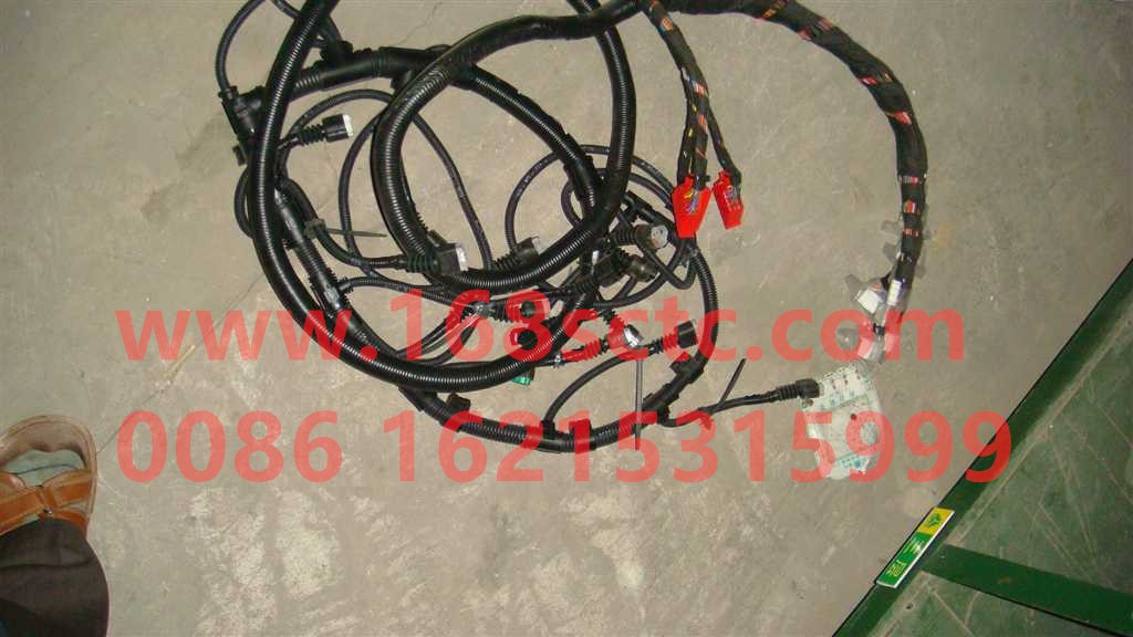 VG1096090009-SINOTRUK HOWO-Wire harness assembly-ZhongQiFaDongJiWD615.67