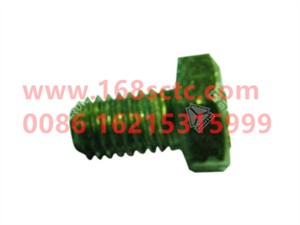 ZQ150B0610-OTHERS-Outer hex bolt M6x10-LiuJiaoTouLuoShuan