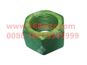 ZQ361B20T13F6-OTHERS-Hex nut type 2 M20x1.5-LiuJiaoTouLuoMu
