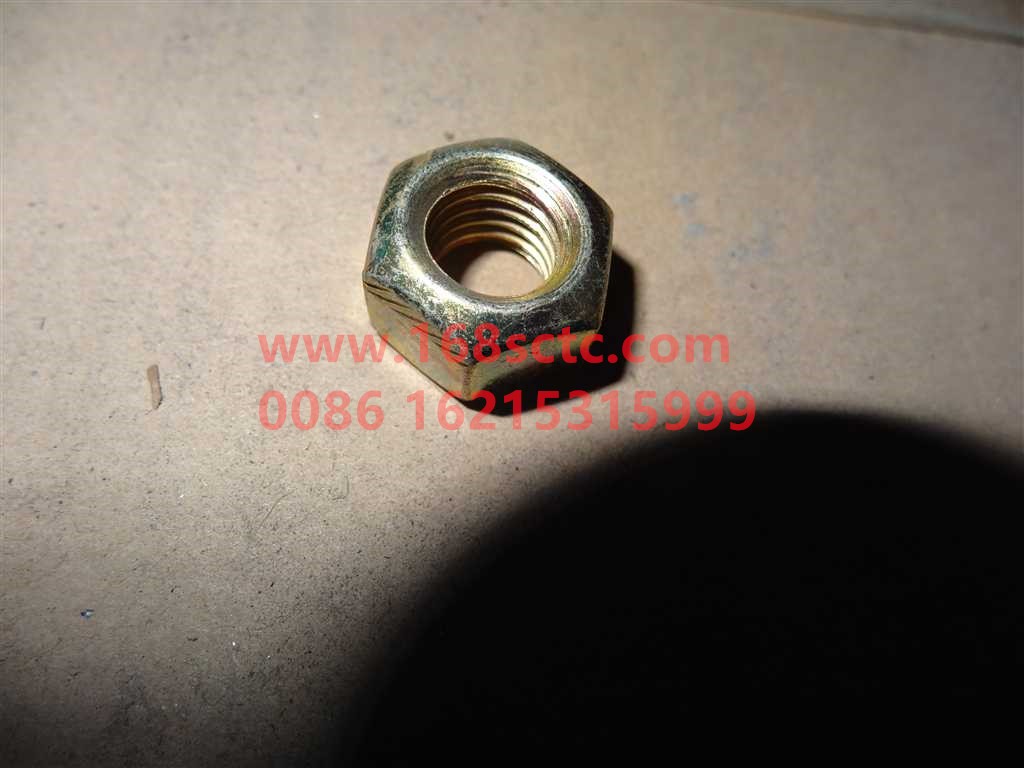 Q33210-SINOTRUK HOWO-Hex lock nut 2typefull metal M10-ZhongQiFaDongJiWD615.96C