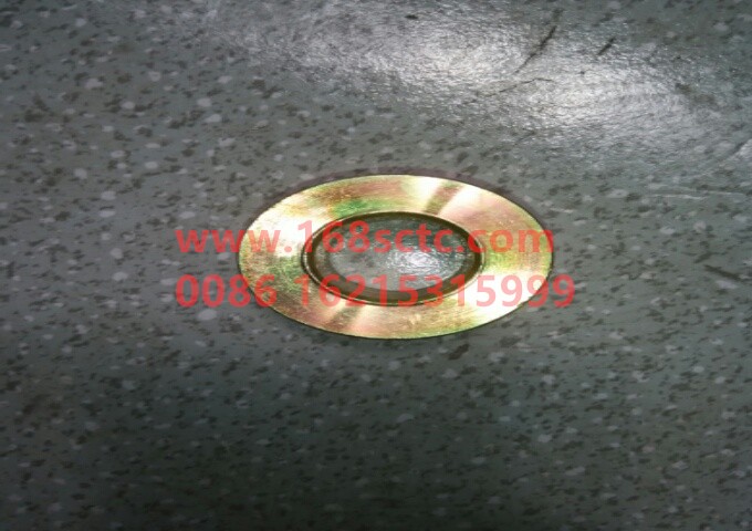 81.95801.0114-SHACMAN-roller-DeLongF3000 2013Kuan