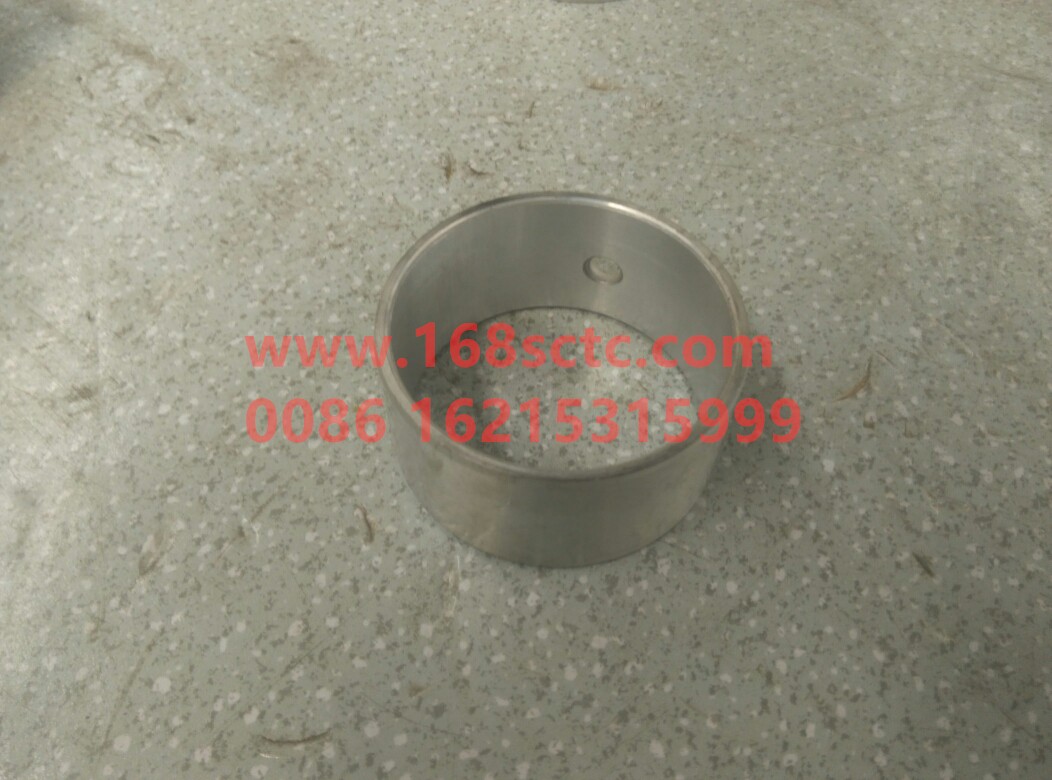 61560010029
