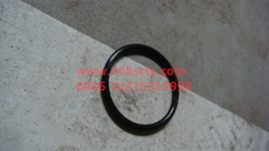 WG9925471018-SINOTRUK HOWO-sealing ring-HaoWoA7Kuan
