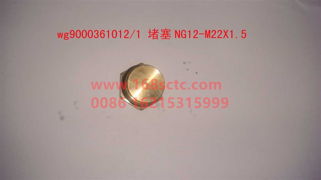 WG9000361012-SINOTRUK HOWO-Plug NG12 M22x1.5-HaoWo2013Kuan