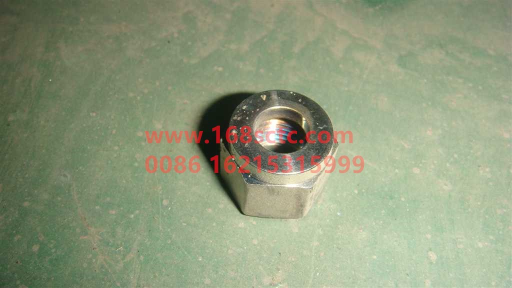 WG9116550111-SINOTRUK HOWO-Union nut-JinWangZi2010Kuan