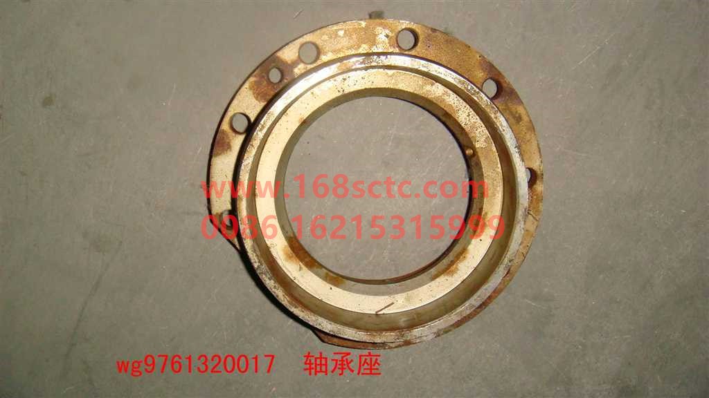 WG9761320017